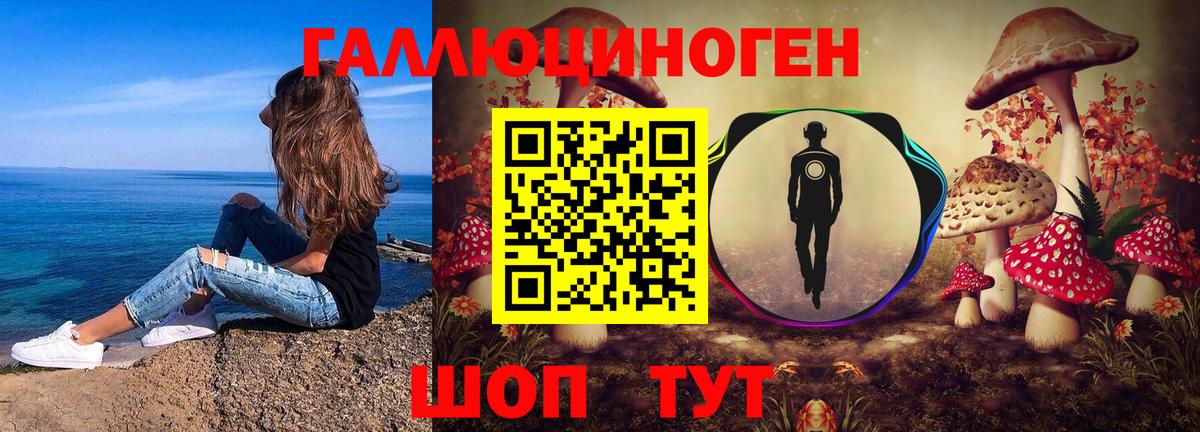 Псилоцибиновые грибы мицелий Протвино