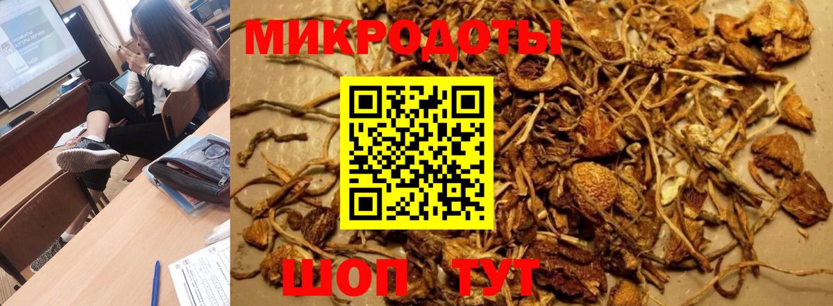 Протвино  Псилоцибиновые грибы GOLDEN TEACHER  Вход с VPN  Псилоцибиновые грибы ЛСД 